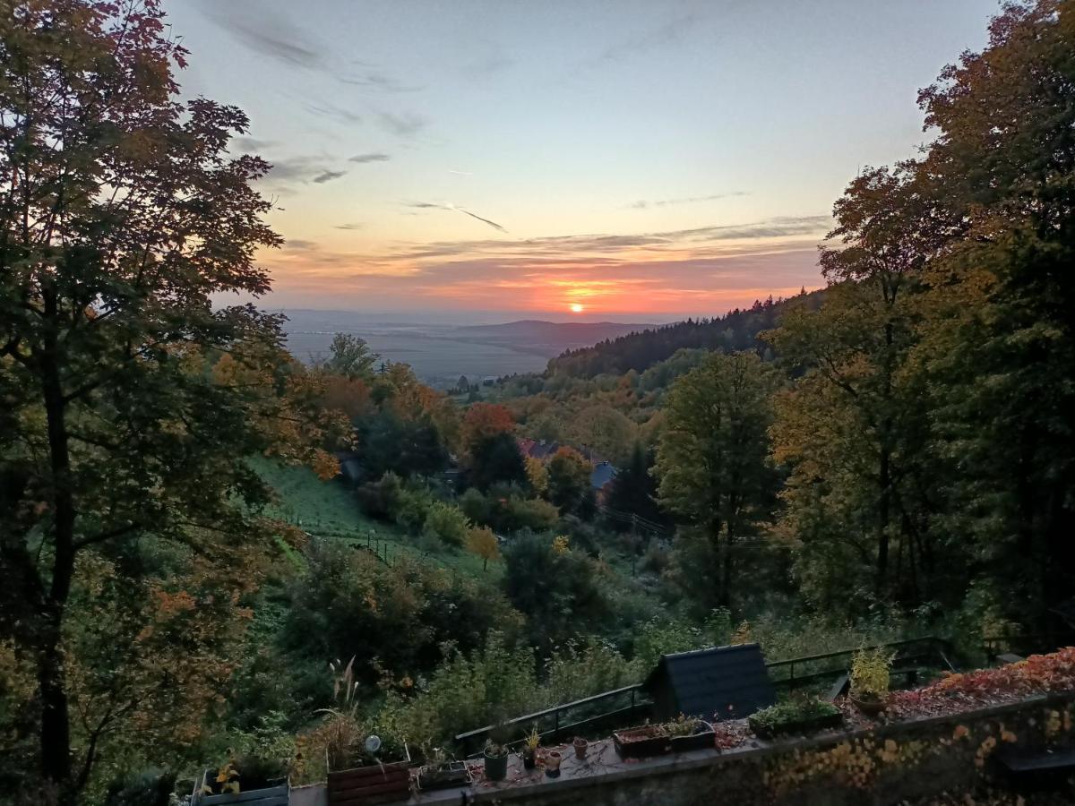 Villa Hubertus Srebrna Gora Luaran gambar