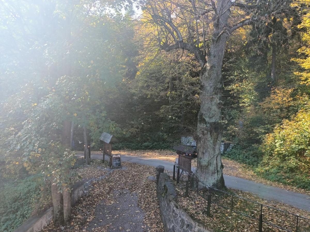 Villa Hubertus Srebrna Gora Luaran gambar