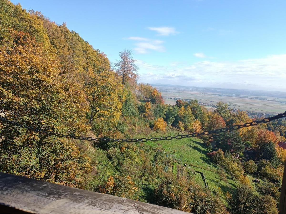 Villa Hubertus Srebrna Gora Luaran gambar